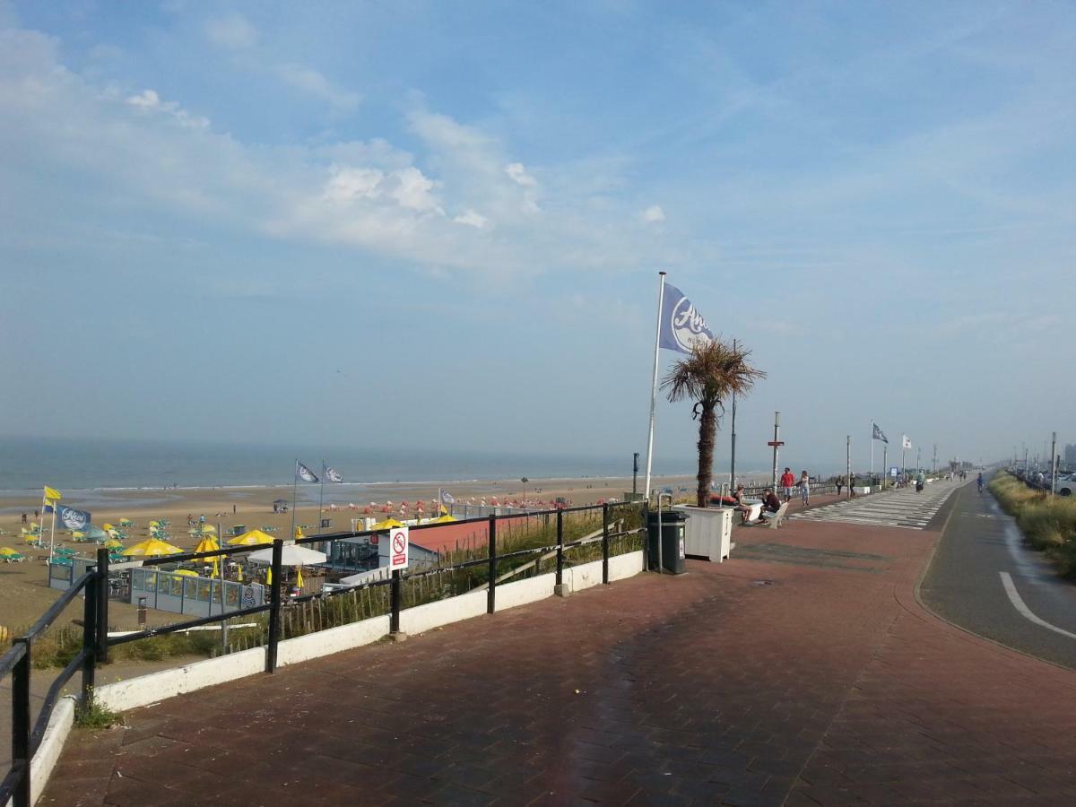 Zandvoorthouse Zandvoort